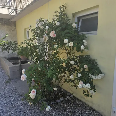 La Corte Di Rosa